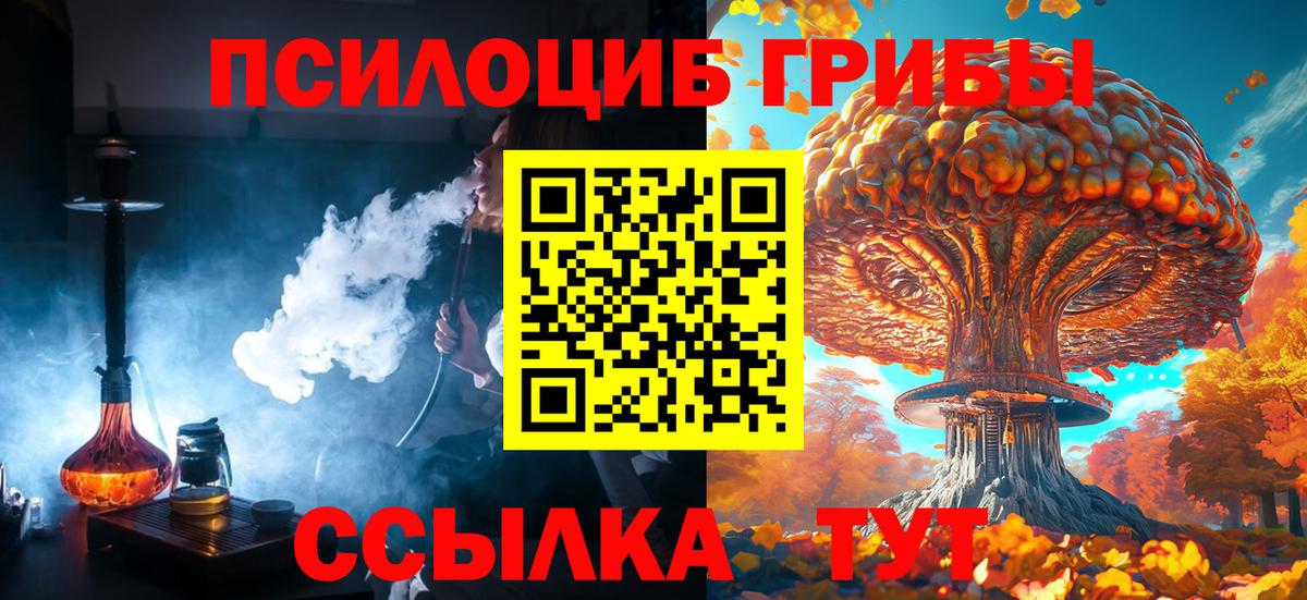 Галлюциногенные грибы прущие грибы Щёкино