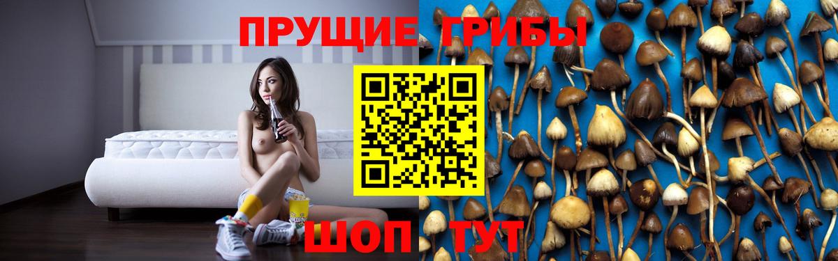 Псилоцибиновые грибы Psilocybine cubensis  Вход с VPN  Щёкино 